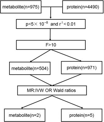 Application and discoveries of metabolomics and proteomics in the study of female infertility